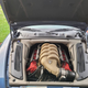 Image for article titled At $13,900, Is This 2002 Maserati Spyder Pretty Fly?